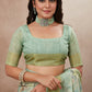 Elegant pastel green saree worn with elbow-sleeve blouse
