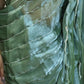 Stunning Persian Green Organza Saree with intricate Cutdana embellishments.